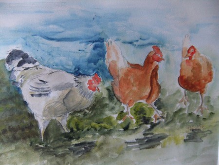 Kippen, Acryl